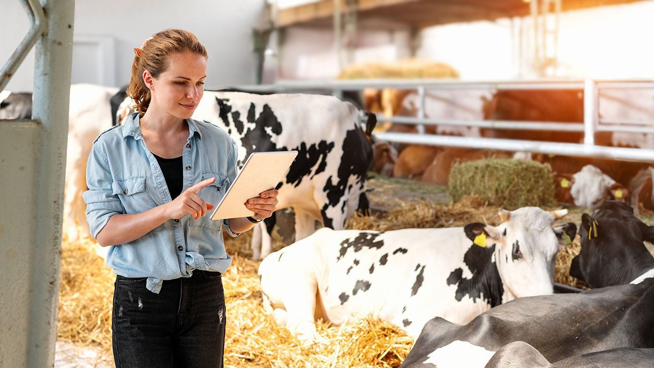 Monitoring livestock health